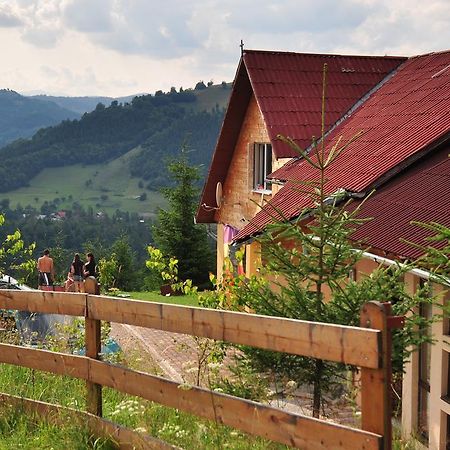 Kings Valley - Sunny Botesti Topánfalva Szoba fotó