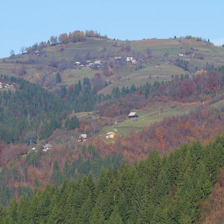 Kings Valley - Sunny Botesti Topánfalva Kültér fotó