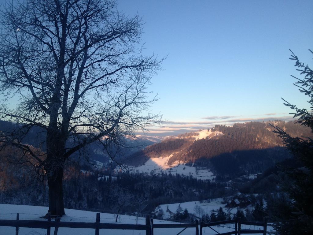 Kings Valley - Sunny Botesti Topánfalva Kültér fotó