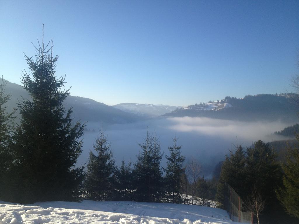 Kings Valley - Sunny Botesti Topánfalva Kültér fotó