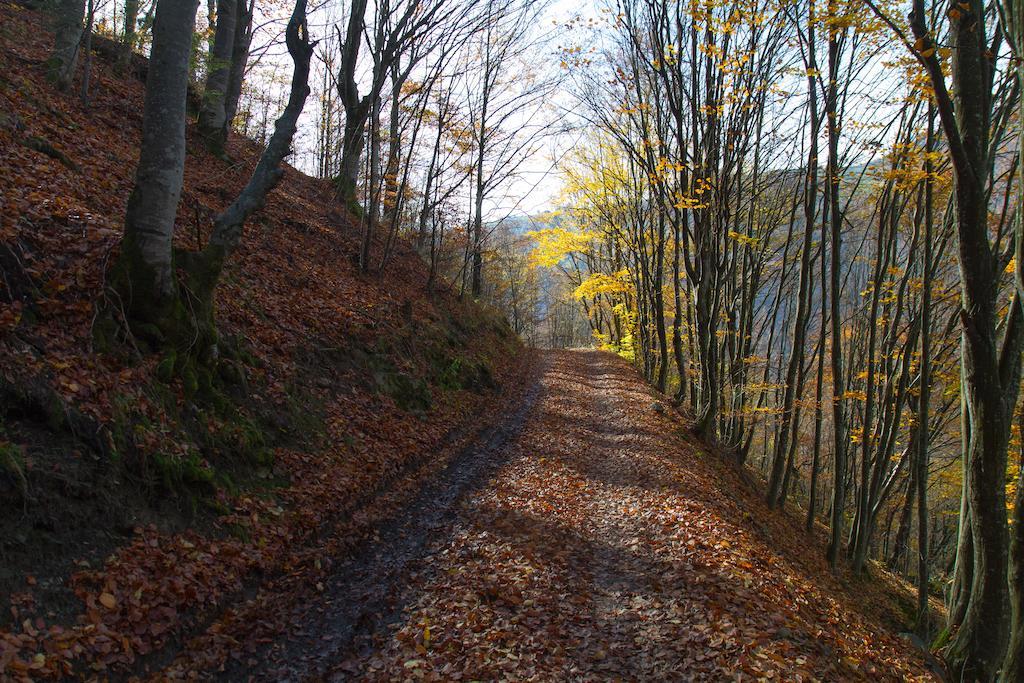 Kings Valley - Sunny Botesti Topánfalva Kültér fotó