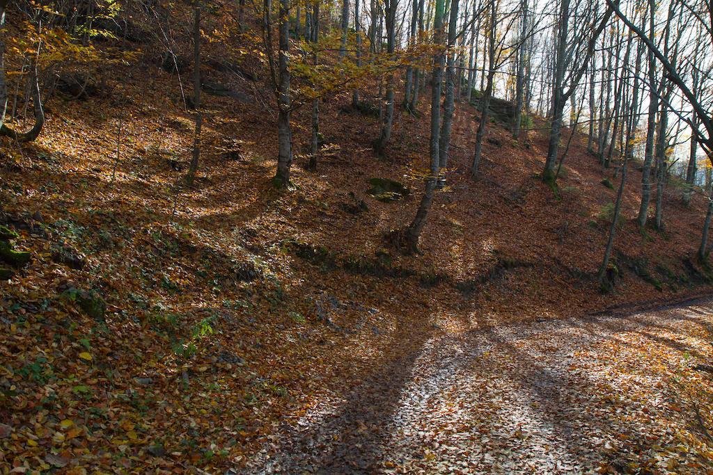 Kings Valley - Sunny Botesti Topánfalva Kültér fotó