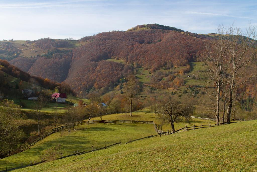 Kings Valley - Sunny Botesti Topánfalva Kültér fotó
