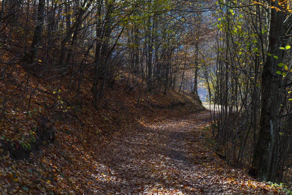 Kings Valley - Sunny Botesti Topánfalva Kültér fotó