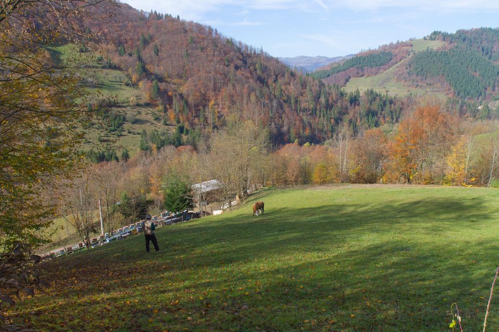 Kings Valley - Sunny Botesti Topánfalva Kültér fotó