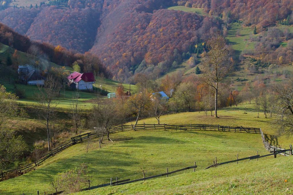 Kings Valley - Sunny Botesti Topánfalva Kültér fotó