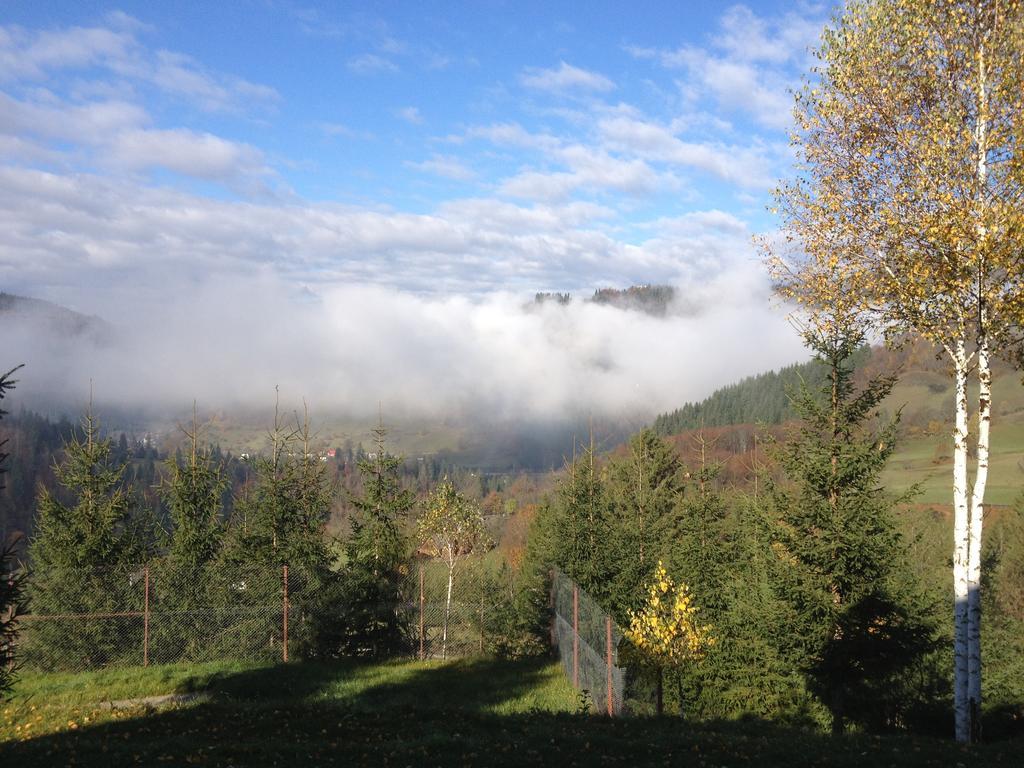 Kings Valley - Sunny Botesti Topánfalva Kültér fotó