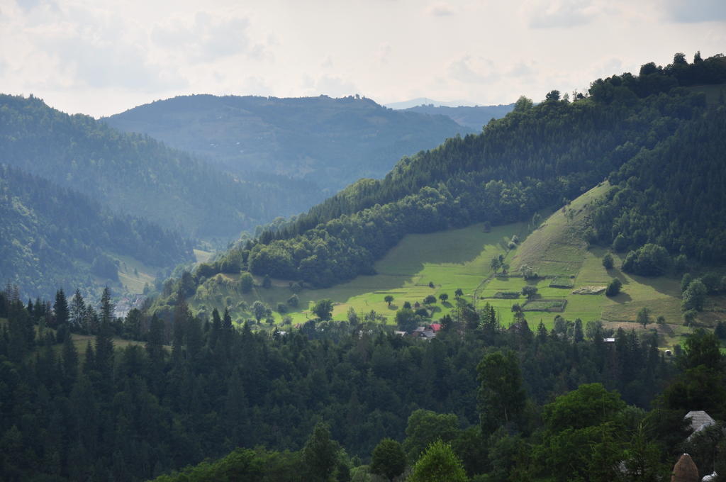 Kings Valley - Sunny Botesti Topánfalva Kültér fotó
