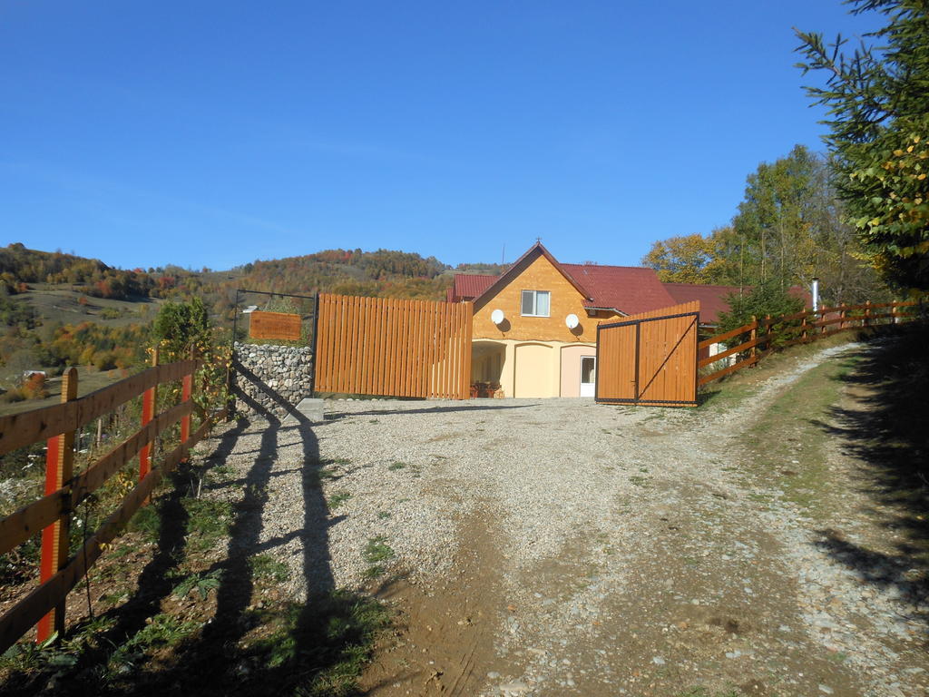 Kings Valley - Sunny Botesti Topánfalva Kültér fotó