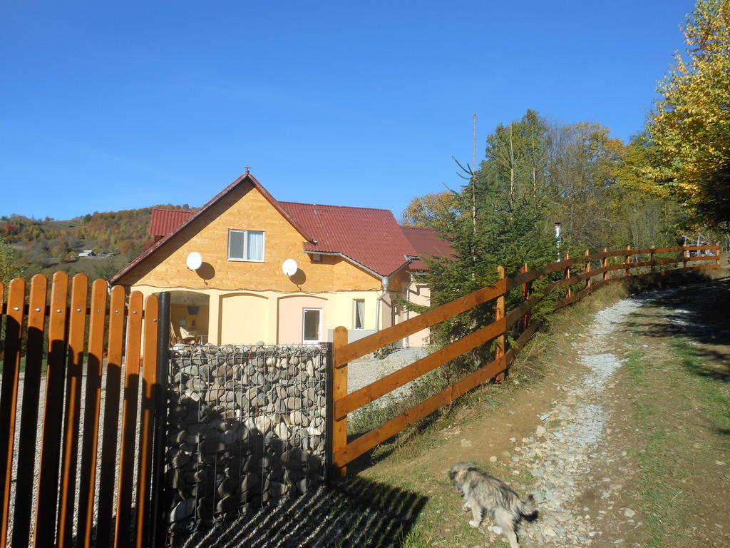 Kings Valley - Sunny Botesti Topánfalva Kültér fotó