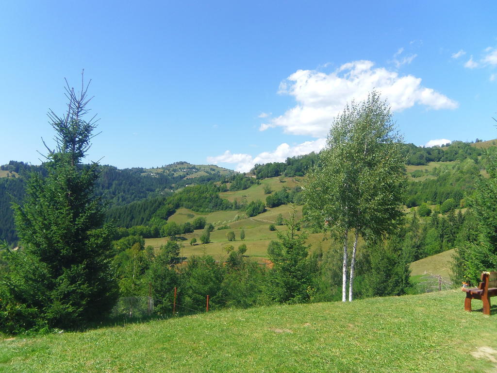 Kings Valley - Sunny Botesti Topánfalva Kültér fotó