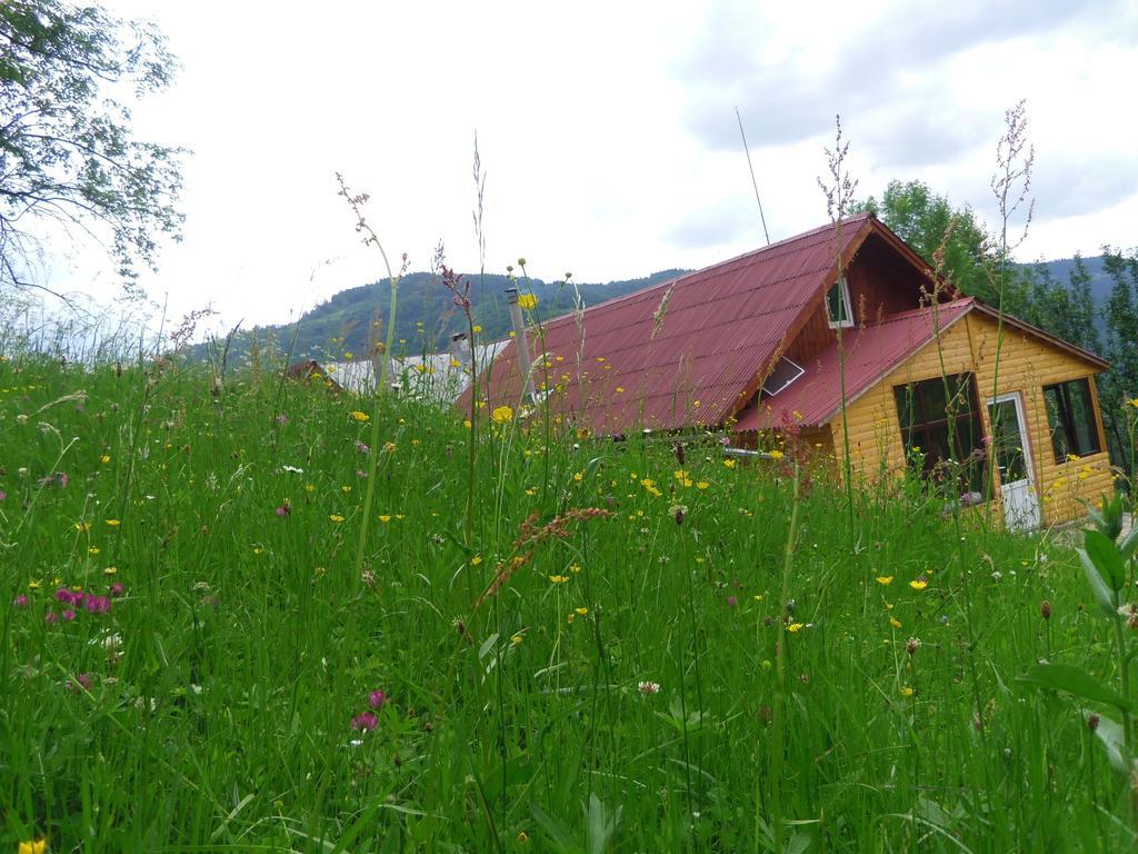 Kings Valley - Sunny Botesti Topánfalva Kültér fotó