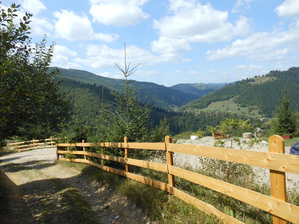 Kings Valley - Sunny Botesti Topánfalva Kültér fotó