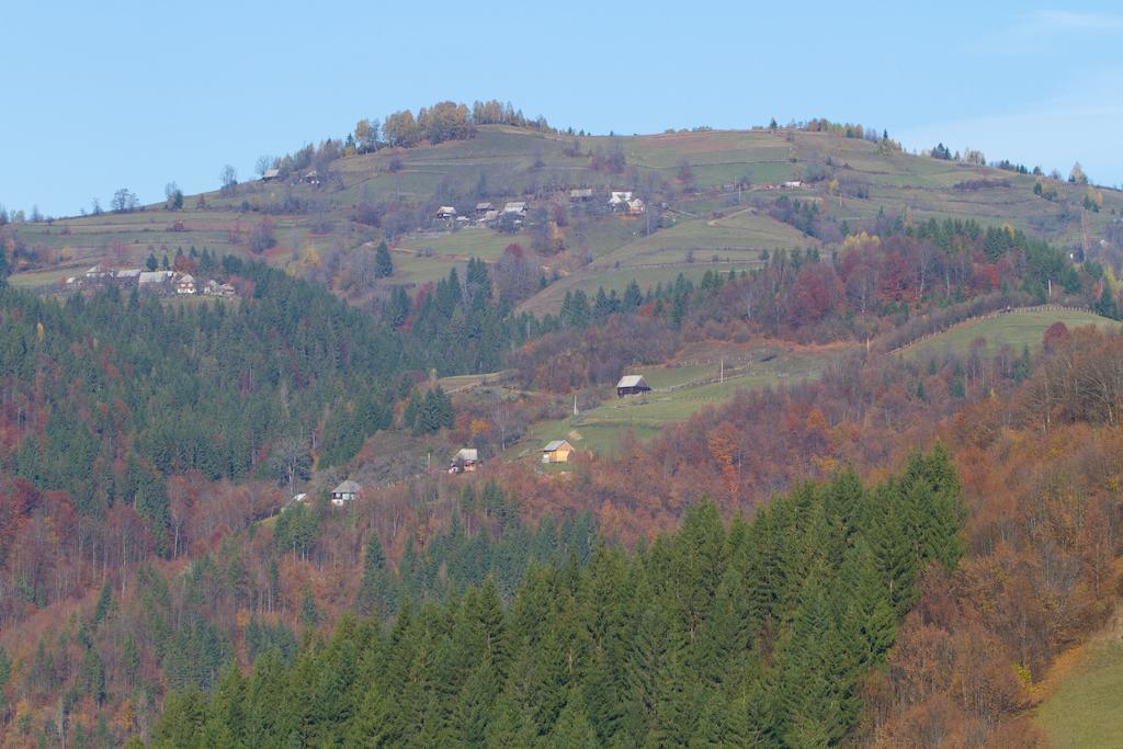 Kings Valley - Sunny Botesti Topánfalva Kültér fotó